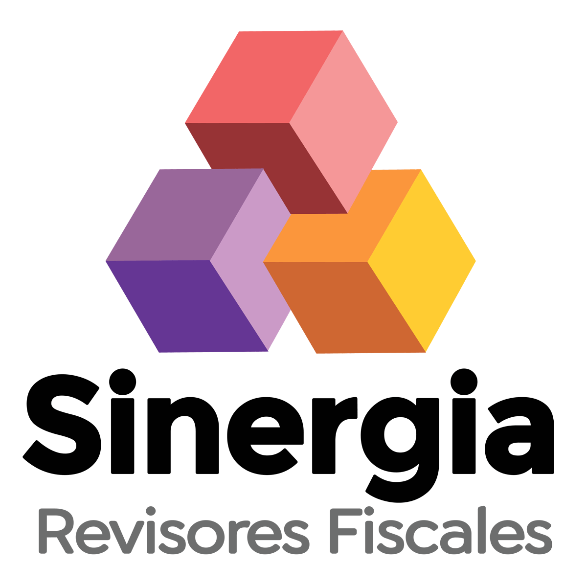 REVISORES FISCALES SINERGIA S.A.S